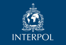 CYBERCRIME: INTERPOL arrests 5,811 suspects, identifies 15,600 intercepts $293 million