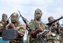 Plateau attack leaves 30 dead, 50 houses razed