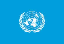 UN denies Adeyemi, fake DG PFIPC