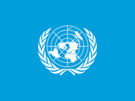 UN denies Adeyemi, fake DG PFIPC
