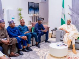 Gov Radda Approves Joint Implementation Committee on Digital Infrastructure