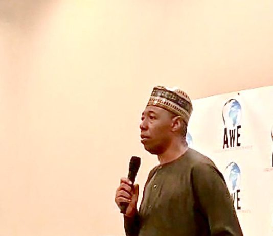 Borno reconstructs more than 30,000 homes, schools, clinics