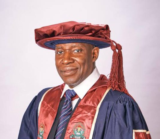 Over 600 academics endorse Tinubu re election