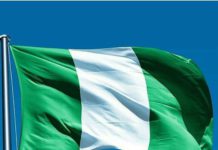 Draw lessons from South Korea, Nigeria urged