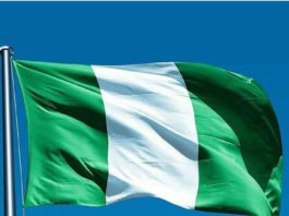 Draw lessons from South Korea, Nigeria urged