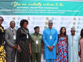 FAO, Kaduna organise workshop on Agriculture, Natural Resources Strategy.