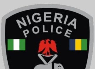 Katsina police arrests 247 crimes suspects, rescued 17 kidnap victimd