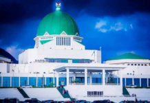 1,303 candidates jostle for 109 senatorial seats