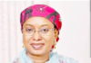 Binani hits back at Babachir