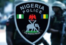 Attack on Katsina State’s APC convoy: Police arrests 14 suspects
